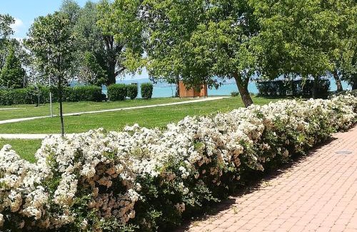 Zamardi Apartamento | Zamárdi Sirály