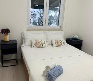 Bol Apartamento | Zana