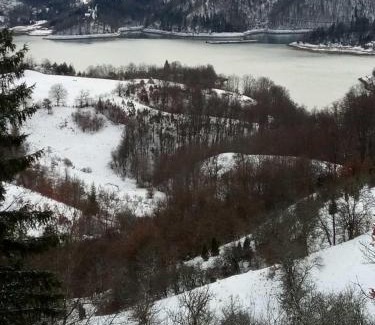 Bajina Basta Apartamento | Zaovinska Panorama I