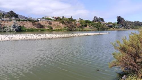 La Laguna Casa | Zapallar Laguna Y Mar a una cuadra playa maitencillo