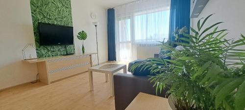 Zaspa Apartamento | Zaspa Apartament