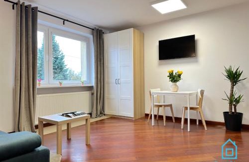 Borkowo Lostowickie Apartamento | Zatoka Apartment- Tranquil Retreat, 15 Minutes to the Sea & Gdańsk City Center
