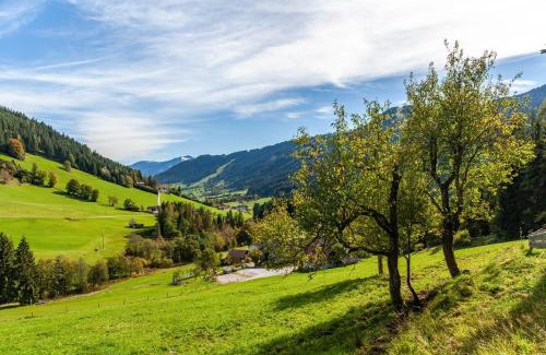 Wildschoenau Apartamento | Zauberhütte Wildschönau