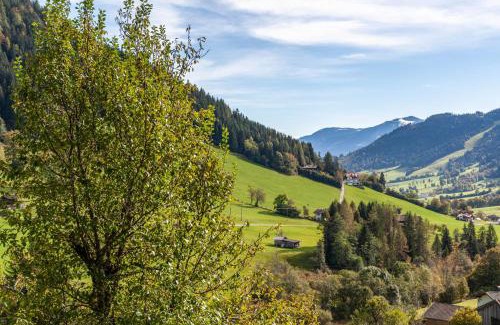Wildschoenau Apartamento | Zauberhütte Wildschönau