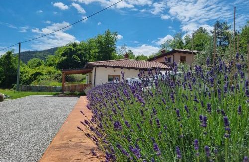 Kras Apartamento | Zelkonn House