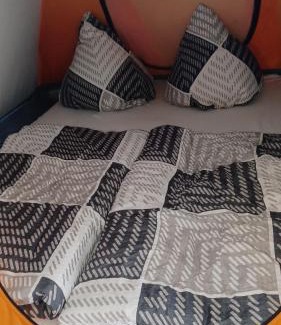 Taubenheim Otro | Zelten im vorhandenen Zelt im Loftcamp