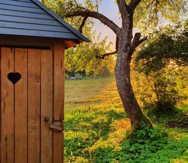 Limbazi Municipality Otro | Zemnieku saimniecība Paldaži