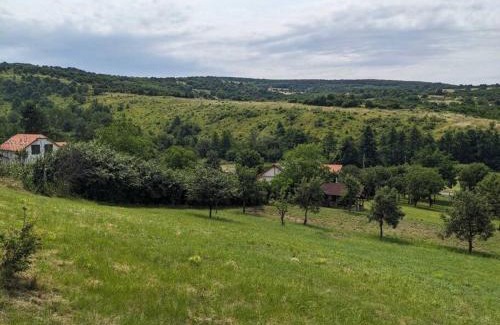 Abaujalpar Casa | Zemplén Cottage (breakfast&Tokaj wine tour)