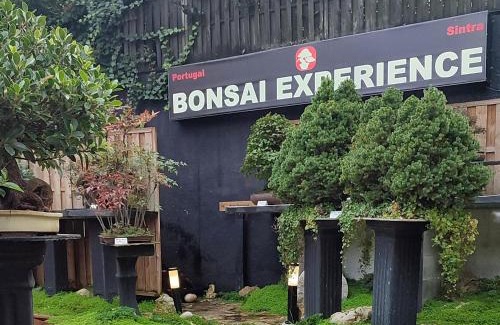 Sintra Apartamento | Zen Guest House - Museu do Bonsai
