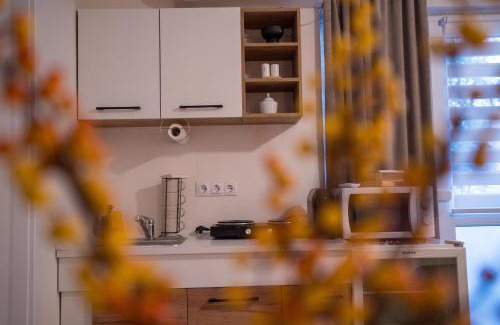 Ocna Mures Apartamento | Zena Apartment