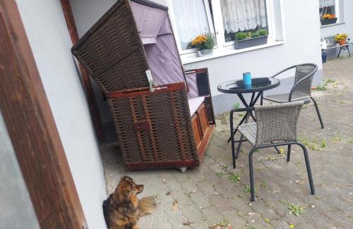 Bergen auf Ruegen Apartamento | Zentrale Ferienwohnung in Bergen auf Rügen