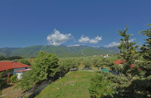 Anatolikos Olimpos Apartamento | Zeusplace Jasmine House