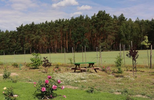 gmina Siedlec Apartamento | Zielona Przystań