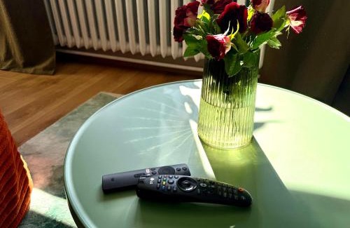 Czestochowa Apartamento | Zielony Apartament w Centrum