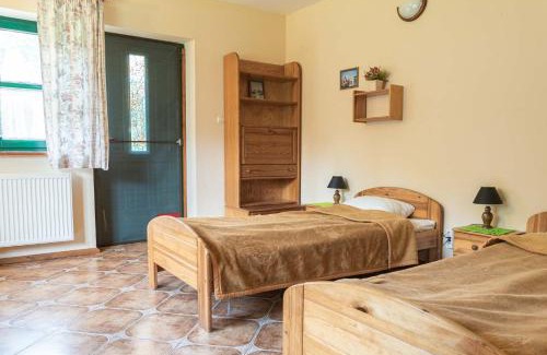 Karwie Casa | Zielony koń
