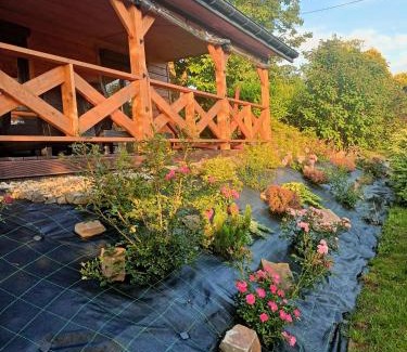 Olszanica Casa | Zielony Zakątek 668 - 415 - 737