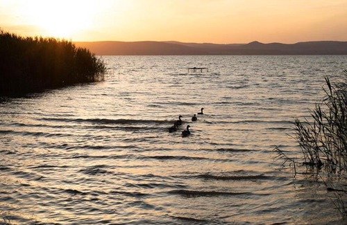 Balatonszemes Apartamento | Zier Bisztró & Apartman