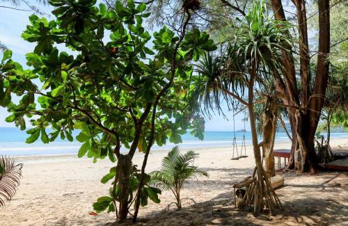 Ranong Complejo | Ziggy Stardust