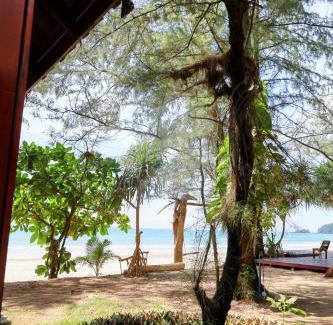 Ranong Complejo | Ziggy Stardust
