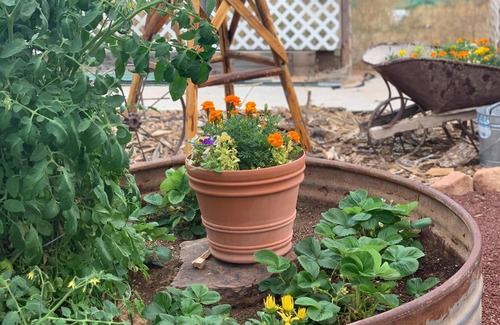 Colorado City Cama Y Desayuno | Zion's Backyard B&B