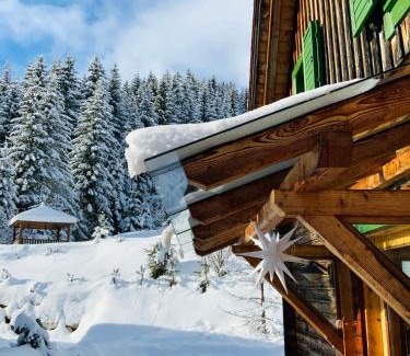 Sankt Lambrecht Casa | Zirbitz Hütte mit Sauna und Kamin