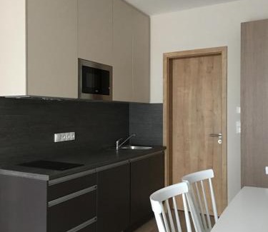 Dolni Morava Apartamento | Zlatý Apartmán