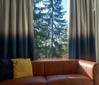 Zlatibor Chalet De Esquí | ZlatAir Twins 2