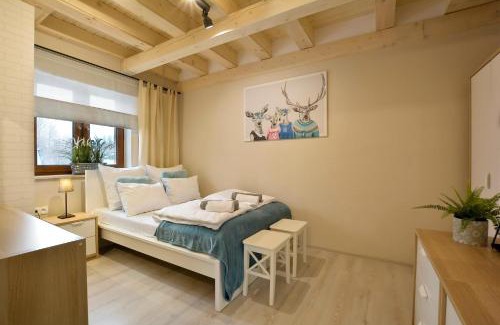 Duszniki Zdroj Apartamento | Zlote Modrzewie