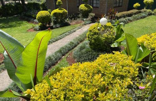Kericho Casa | Zoe Homes 1br and 2br Cottage own compound -Kericho town near Green Square mall