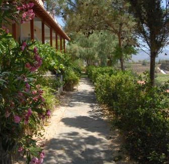 Limnos Apartamento | Zorbas Apartments