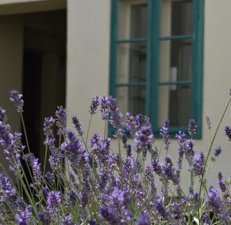 Pecs Apartamento | Zsolnay Negyed Vendégháza