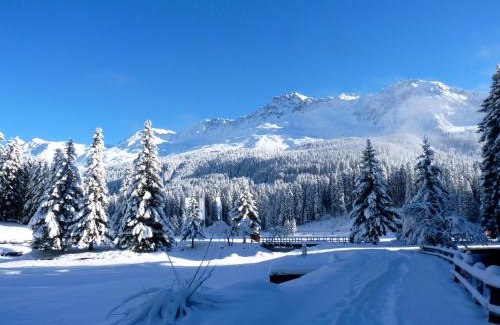 Lenzerheide Apartamento | Zuhause in den Alpen Ihre Ferienwohnung mit Hallenbad und Sauna