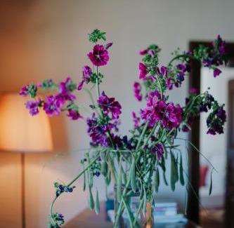 Laces Hotel | Zum Riesen Historic Refugium