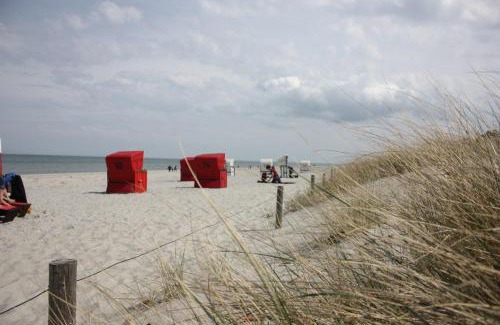 Neuendorf Casa | zum Sanddorn