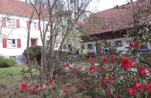Ichenhausen Apartamento | Zum Scheunenhof - Bauernhaus