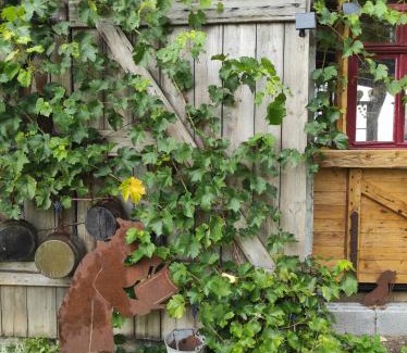 Ichenhausen Apartamento | Zum Scheunenhof - Scheune