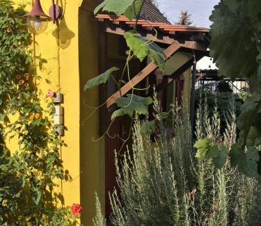 Kleinliebenau Apartamento | Zum Waldmeister - WC außerhalb