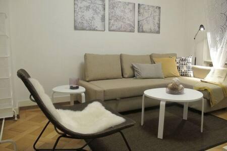 Alt-Wiedikon Apartamento | Zurich Furnished Apartments