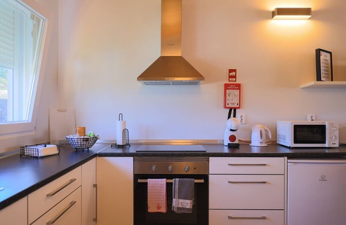 Ribeira Grande Otro | Parrots Village
