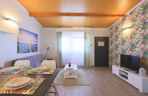 Ribeira Grande Otro | Parrots Village