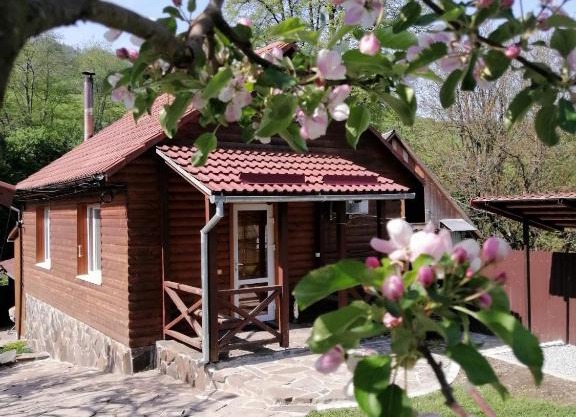 Зачаровані Карпати, Воловець