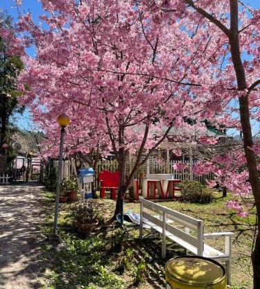 桃山渡假農場
