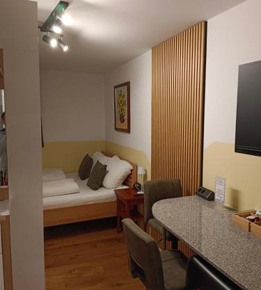 1 Zimmer Appartement nahe Gmunden Top2