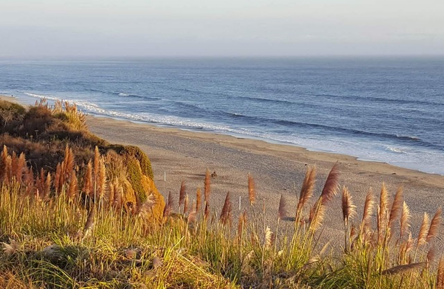 "Beach Retreat Villa 2 Bedroom 2. 5 Bath" .. Excelentes vistas al mar! seascape Resort
