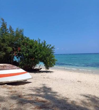 2 bedroom- Flic en Flac