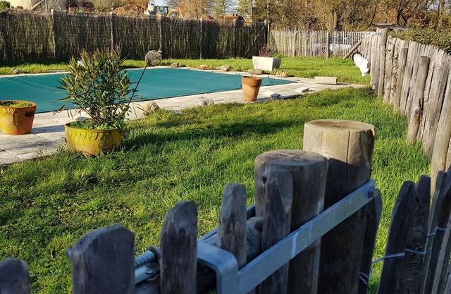 Casa de 2 dormitorios, jardín cerrado, a ras del suelo con acceso a la piscina.