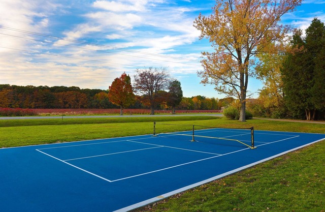2 Cabins| HotTub | Pickleball | FirePit | King Bed