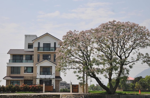 201 Mountain View Habitación doble Hualien