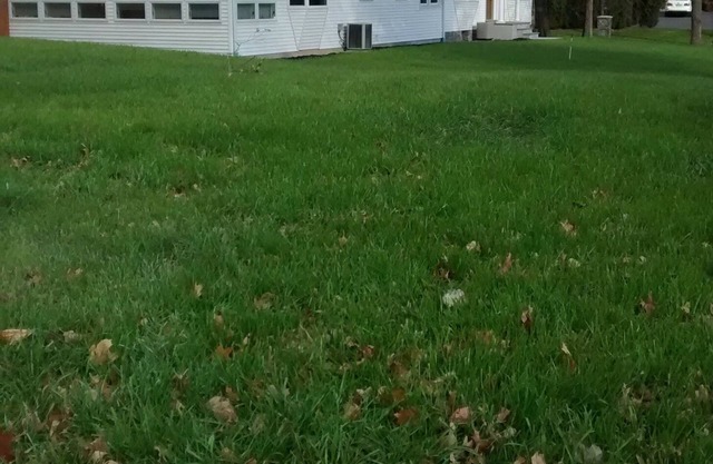 2BDR privada Suite w / baño en Horsham, PA