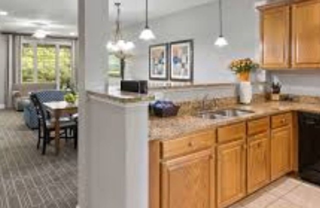 2Bed/2Bath Deluxe at Lake Marion!